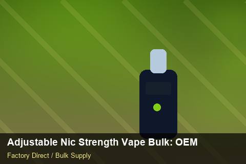 Adjustable Nic Strength Vape Bulk — Adjustable Nic Strength Vape Bulk: OEM & ODM Service — EDI Setup photo 1