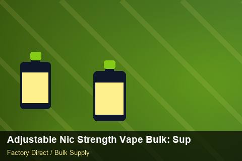 Adjustable Nic Strength Vape Bulk — Adjustable Nic Strength Vape Bulk: Supplier Vetting — Customer Support photo 2