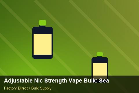 Adjustable Nic Strength Vape Bulk — Adjustable Nic Strength Vape Bulk: Seasonal Planning — Customer Support photo 1