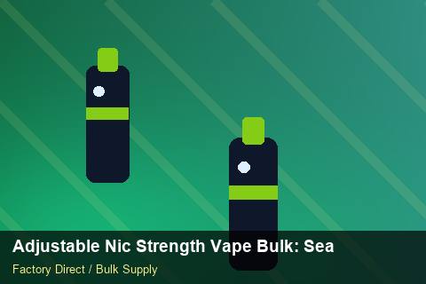 Adjustable Nic Strength Vape Bulk — Adjustable Nic Strength Vape Bulk: Seasonal Planning — Customer Support photo 2