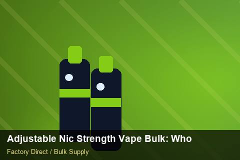 Adjustable Nic Strength Vape Bulk — Adjustable Nic Strength Vape Bulk: Wholesale Price — Technical Training photo 1