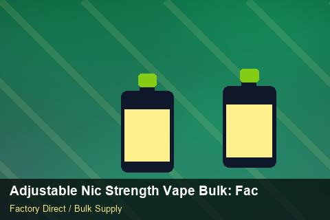 Adjustable Nic Strength Vape Bulk — Adjustable Nic Strength Vape Bulk: Factory Direct Quote — Technical Training photo 1