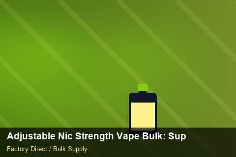 Adjustable Nic Strength Vape Bulk — Adjustable Nic Strength Vape Bulk: Supplier Vetting — Technical Training photo 2