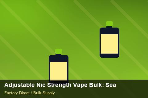 Adjustable Nic Strength Vape Bulk — Adjustable Nic Strength Vape Bulk: Seasonal Planning — Technical Training photo 1
