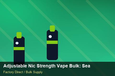 Adjustable Nic Strength Vape Bulk — Adjustable Nic Strength Vape Bulk: Seasonal Planning — Technical Training photo 2