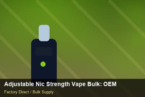 Adjustable Nic Strength Vape Bulk — Adjustable Nic Strength Vape Bulk: OEM & ODM Service — Staff Onboarding photo 1