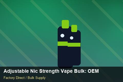 Adjustable Nic Strength Vape Bulk — Adjustable Nic Strength Vape Bulk: OEM & ODM Service — Staff Onboarding photo 2