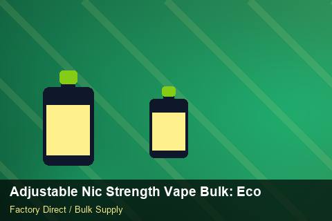 Adjustable Nic Strength Vape Bulk — Adjustable Nic Strength Vape Bulk: Eco-Friendly Materials — Staff Onboarding photo 1