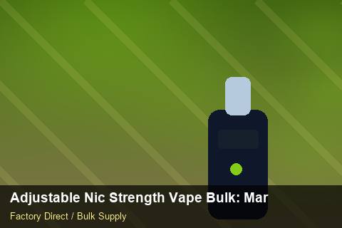 Adjustable Nic Strength Vape Bulk — Adjustable Nic Strength Vape Bulk: Margin Calculator — Staff Onboarding photo 2