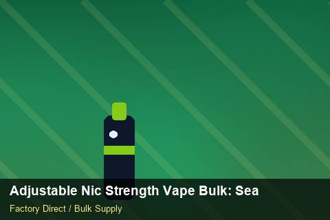 Adjustable Nic Strength Vape Bulk — Adjustable Nic Strength Vape Bulk: Seasonal Planning — Staff Onboarding photo 2