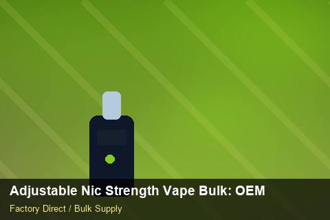 Adjustable Nic Strength Vape Bulk — Adjustable Nic Strength Vape Bulk: OEM & ODM Service — Merchandising Kits photo 1