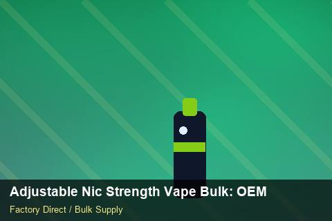 Adjustable Nic Strength Vape Bulk — Adjustable Nic Strength Vape Bulk: OEM & ODM Service — Merchandising Kits photo 2