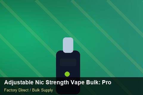 Adjustable Nic Strength Vape Bulk — Adjustable Nic Strength Vape Bulk: Procurement Checklist — Merchandising Kits photo 2