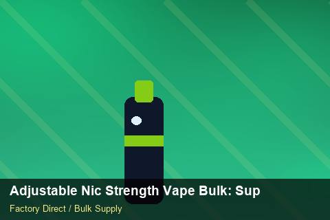 Adjustable Nic Strength Vape Bulk — Adjustable Nic Strength Vape Bulk: Supplier Vetting — Merchandising Kits photo 1