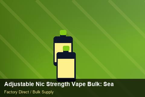 Adjustable Nic Strength Vape Bulk — Adjustable Nic Strength Vape Bulk: Seasonal Planning — Merchandising Kits photo 1