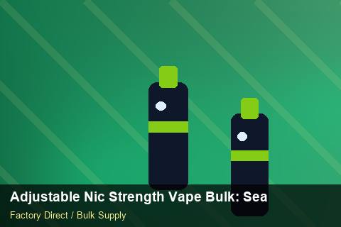 Adjustable Nic Strength Vape Bulk — Adjustable Nic Strength Vape Bulk: Seasonal Planning — Merchandising Kits photo 2
