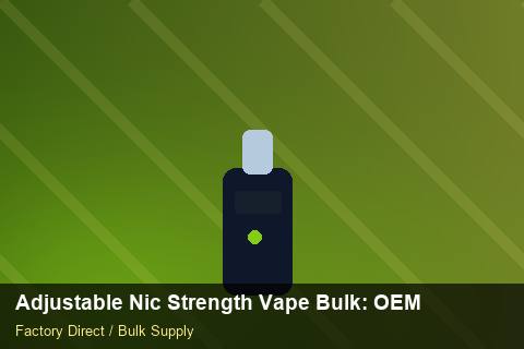 Adjustable Nic Strength Vape Bulk — Adjustable Nic Strength Vape Bulk: OEM & ODM Service — POS Materials photo 1