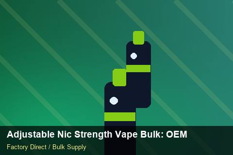 Adjustable Nic Strength Vape Bulk — Adjustable Nic Strength Vape Bulk: OEM & ODM Service — POS Materials photo 2
