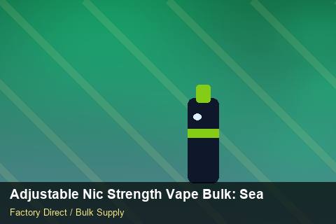 Adjustable Nic Strength Vape Bulk — Adjustable Nic Strength Vape Bulk: Seasonal Planning — POS Materials photo 2