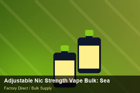 Adjustable Nic Strength Vape Bulk — Adjustable Nic Strength Vape Bulk: Seasonal Planning — Buyer Meetings photo 1