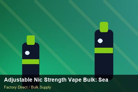 Adjustable Nic Strength Vape Bulk — Adjustable Nic Strength Vape Bulk: Seasonal Planning — Buyer Meetings photo 2