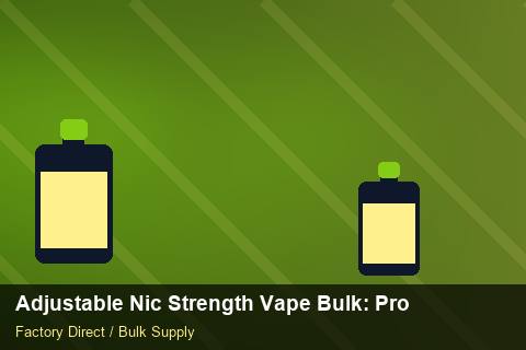 Adjustable Nic Strength Vape Bulk — Adjustable Nic Strength Vape Bulk: Procurement Strategy — Factory Visit photo 1