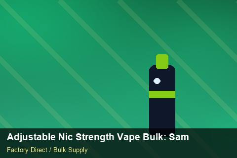 Adjustable Nic Strength Vape Bulk — Adjustable Nic Strength Vape Bulk: Sample Policy — Factory Visit photo 1