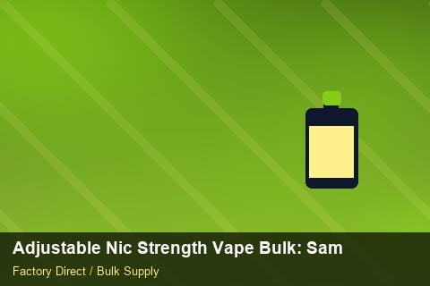 Adjustable Nic Strength Vape Bulk — Adjustable Nic Strength Vape Bulk: Sample Policy — Factory Visit photo 2