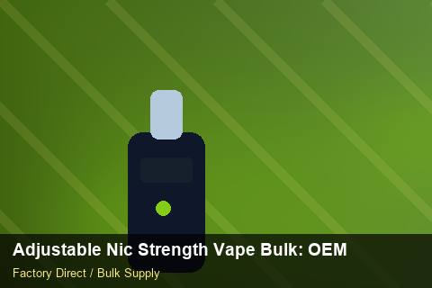Adjustable Nic Strength Vape Bulk — Adjustable Nic Strength Vape Bulk: OEM & ODM Service — Factory Visit photo 1