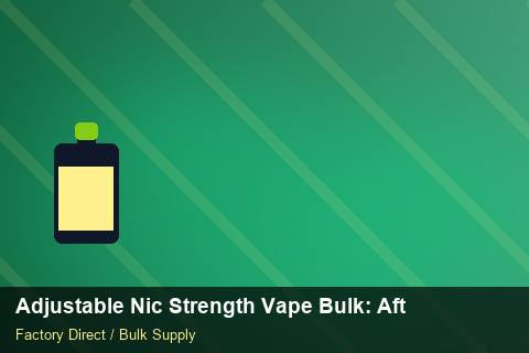Adjustable Nic Strength Vape Bulk — Adjustable Nic Strength Vape Bulk: After-Sales Support — Factory Visit photo 2