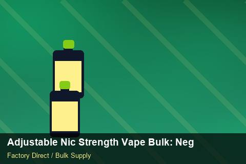 Adjustable Nic Strength Vape Bulk — Adjustable Nic Strength Vape Bulk: Negotiation Tips — Factory Visit photo 2