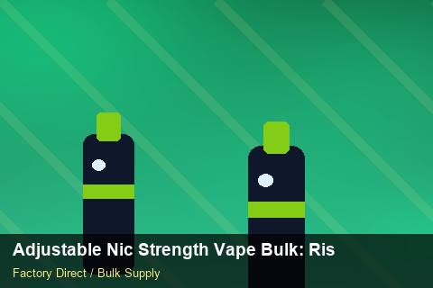 Adjustable Nic Strength Vape Bulk — Adjustable Nic Strength Vape Bulk: Risk Management — Factory Visit photo 1