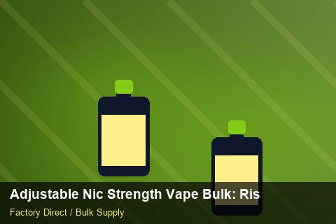 Adjustable Nic Strength Vape Bulk — Adjustable Nic Strength Vape Bulk: Risk Management — Factory Visit photo 2