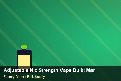 Adjustable Nic Strength Vape Bulk — Adjustable Nic Strength Vape Bulk: Margin Calculator — Factory Visit photo 1