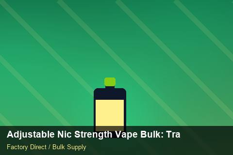 Adjustable Nic Strength Vape Bulk — Adjustable Nic Strength Vape Bulk: Trade Terms — Factory Visit photo 1