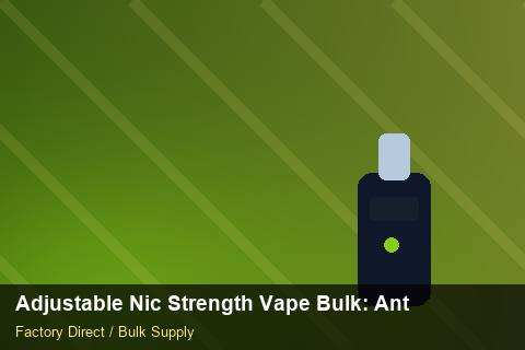 Adjustable Nic Strength Vape Bulk — Adjustable Nic Strength Vape Bulk: Anti-Counterfeit Measures — Factory Visit photo 1