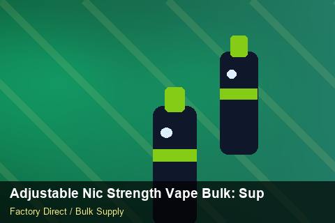 Adjustable Nic Strength Vape Bulk — Adjustable Nic Strength Vape Bulk: Supplier Vetting — Factory Visit photo 1