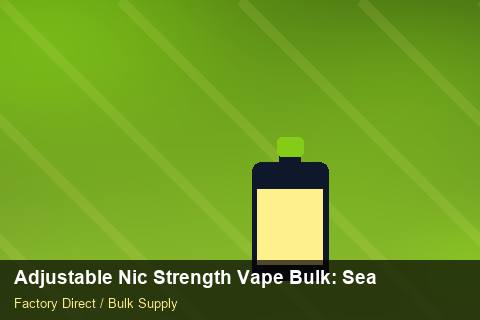 Adjustable Nic Strength Vape Bulk — Adjustable Nic Strength Vape Bulk: Seasonal Planning — Factory Visit photo 1