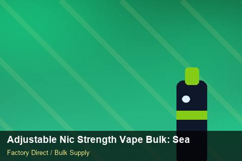Adjustable Nic Strength Vape Bulk — Adjustable Nic Strength Vape Bulk: Seasonal Planning — Factory Visit photo 2