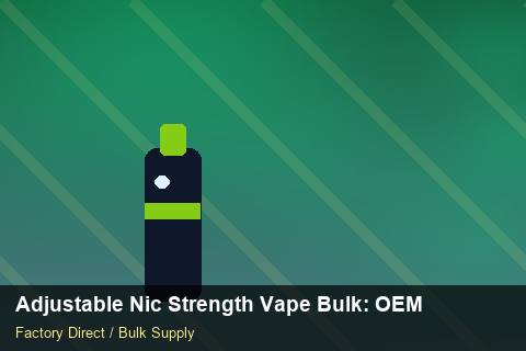 Adjustable Nic Strength Vape Bulk — Adjustable Nic Strength Vape Bulk: OEM & ODM Service — for German Importers photo 2