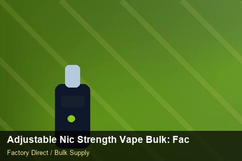 Adjustable Nic Strength Vape Bulk — Adjustable Nic Strength Vape Bulk: Factory Audit Report — for German Importers photo 1