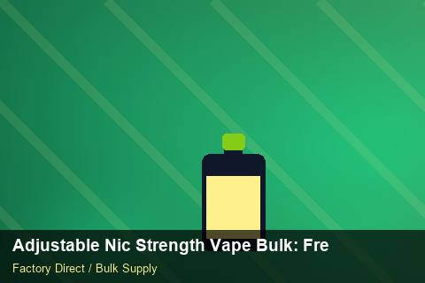 Adjustable Nic Strength Vape Bulk — Adjustable Nic Strength Vape Bulk: Freight Insurance — for German Importers photo 1
