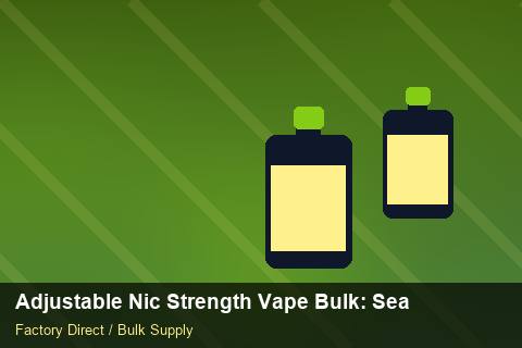 Adjustable Nic Strength Vape Bulk — Adjustable Nic Strength Vape Bulk: Seasonal Planning — for German Importers photo 1