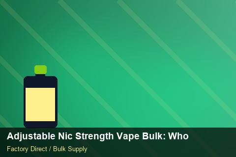 Adjustable Nic Strength Vape Bulk — Adjustable Nic Strength Vape Bulk: Wholesale Price — for US Distributors photo 2