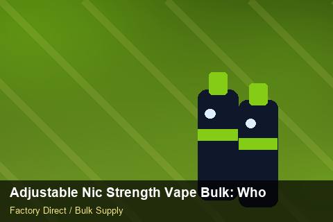 Adjustable Nic Strength Vape Bulk — Adjustable Nic Strength Vape Bulk: Wholesale Price — for EU Chains photo 1
