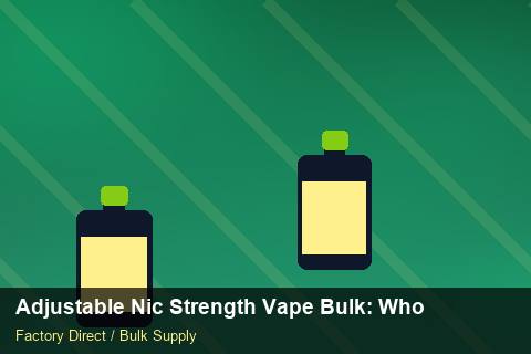 Adjustable Nic Strength Vape Bulk — Adjustable Nic Strength Vape Bulk: Wholesale Price — for EU Chains photo 2