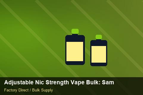 Adjustable Nic Strength Vape Bulk — Adjustable Nic Strength Vape Bulk: Sample Policy — for EU Chains photo 2