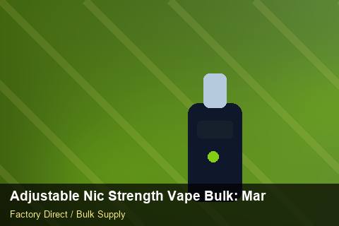 Adjustable Nic Strength Vape Bulk — Adjustable Nic Strength Vape Bulk: Market Trends 2026 — for EU Chains photo 2