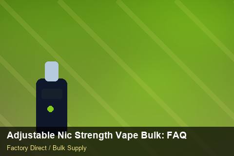 Adjustable Nic Strength Vape Bulk — Adjustable Nic Strength Vape Bulk: FAQ — for EU Chains photo 1