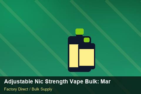 Adjustable Nic Strength Vape Bulk — Adjustable Nic Strength Vape Bulk: Margin Calculator — for EU Chains photo 1